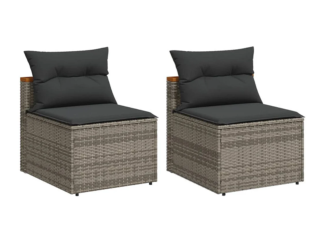 Lot de 2 Canapés de jardin sans accoudoirs avec coussins gris FR528269