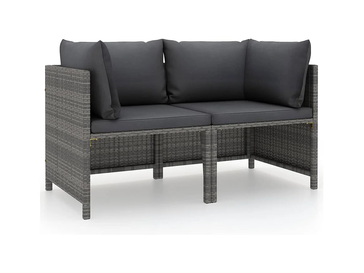 Canapé de jardin à 2 places avec coussins Gris Résine tressée FR29720