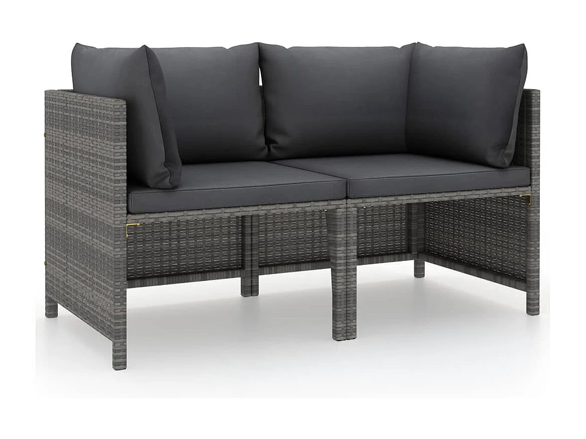 Canapé de jardin à 2 places avec coussins Gris Résine tressée FR29720