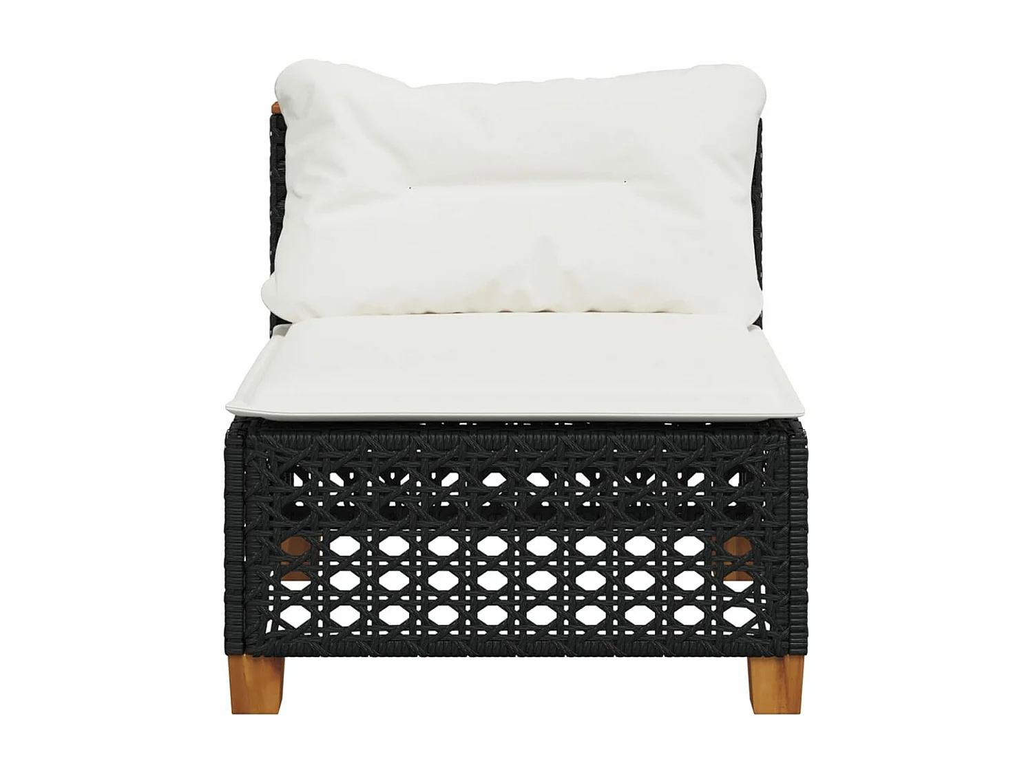 Canapé de jardin sans accoudoirs coussins noir résine tressée FR224880