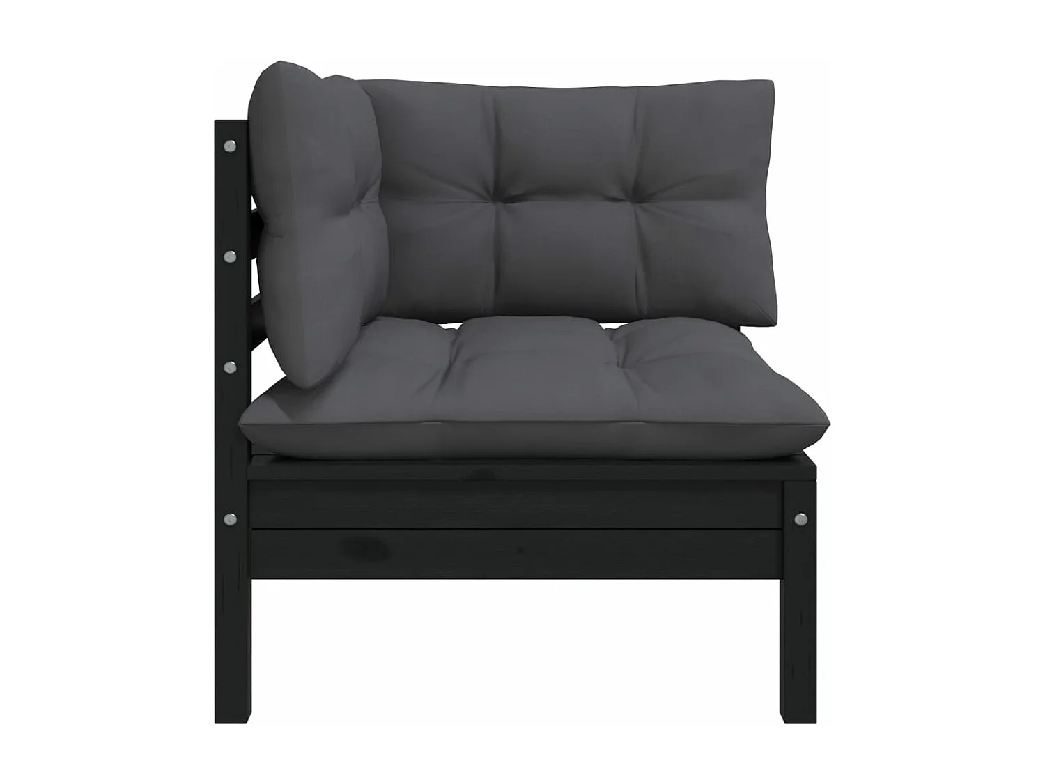 Tuinbank 2-zits met kussens massief grenenhout zwart BE759589