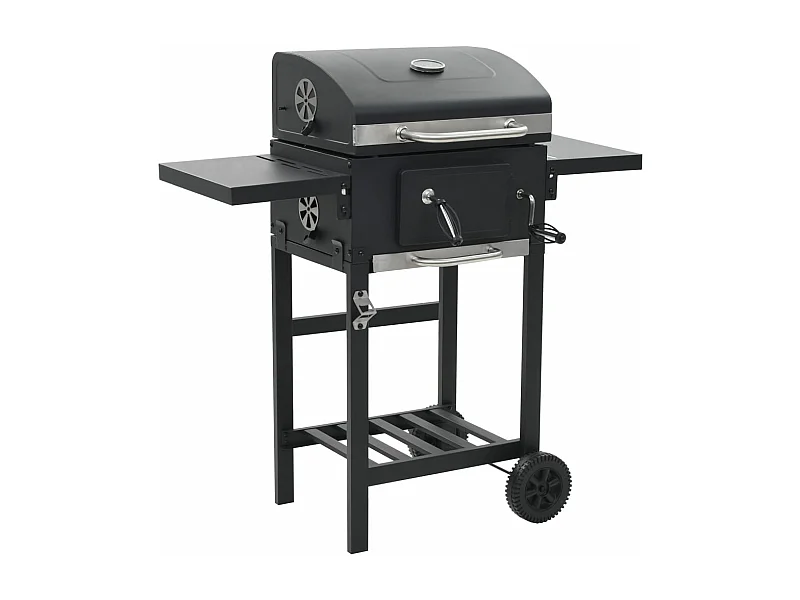 Gril de barbecue au charbon de bois et étagère inférieure Noir FR623743