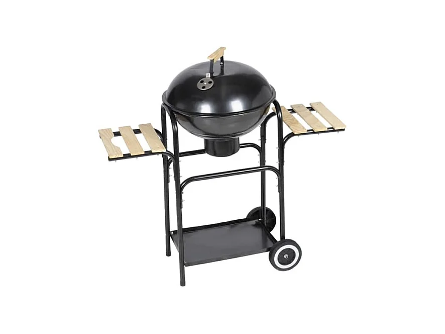 Barbecue au charbon de bois Hawai FR123135