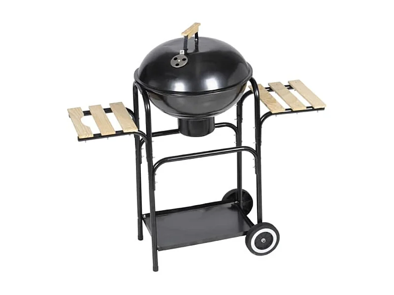 Barbecue au charbon de bois Hawai FR123135