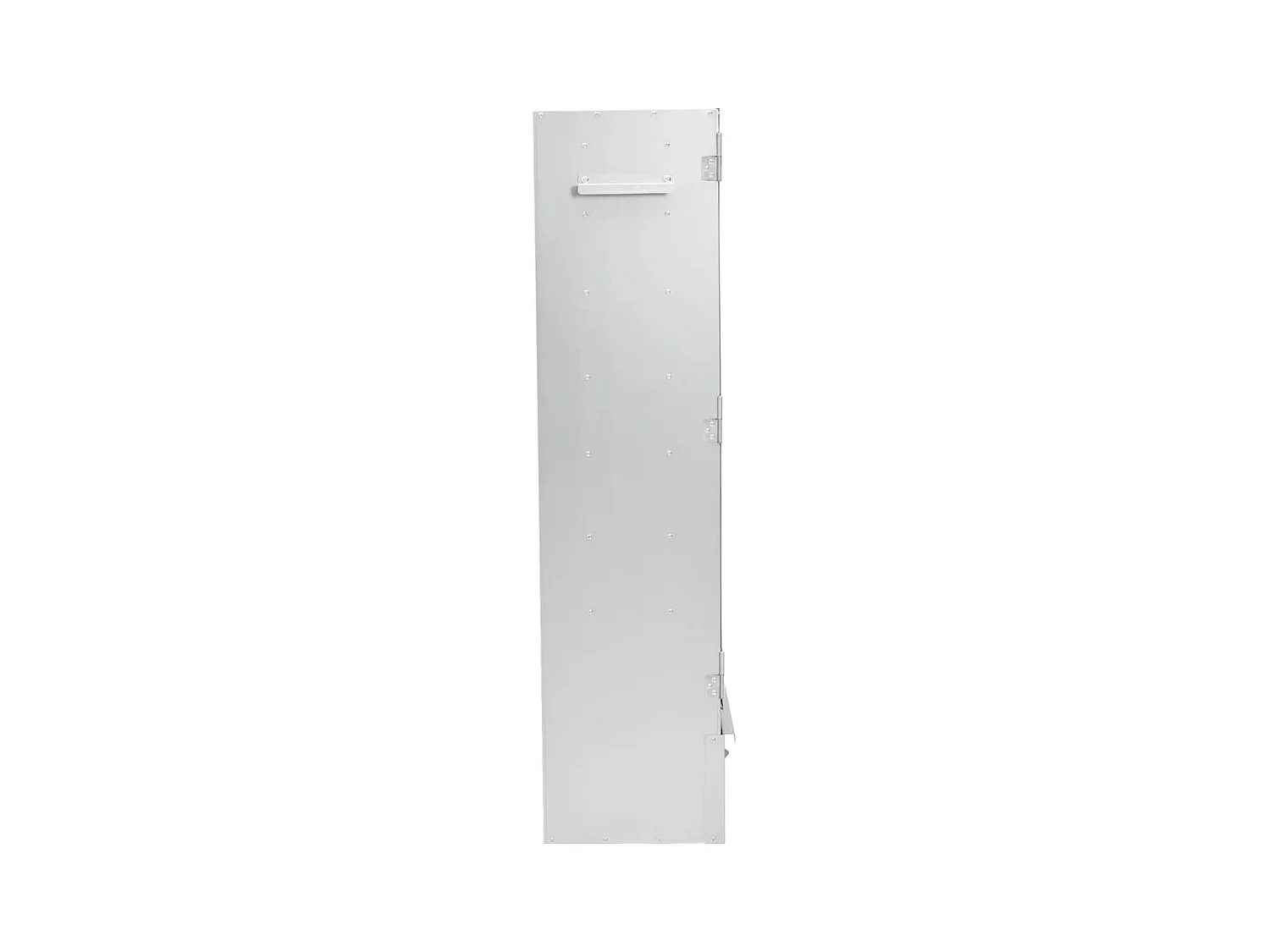 Fumoir pour four à barbecue avec copeaux de bois 44,5x29x110 cm FR780625