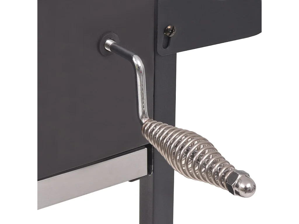 Barbecue au charbon de bois avec étagère inférieure Noir FR277800