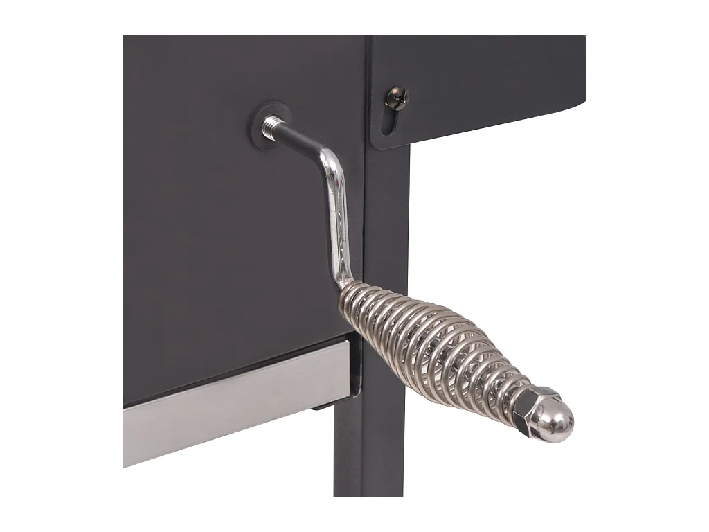 Barbecue au charbon de bois avec étagère inférieure Noir FR277800