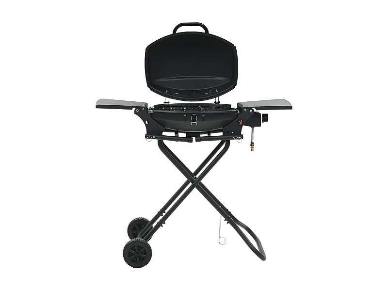 Barbecue au gaz portatif avec zone de cuisson Noir FR462880