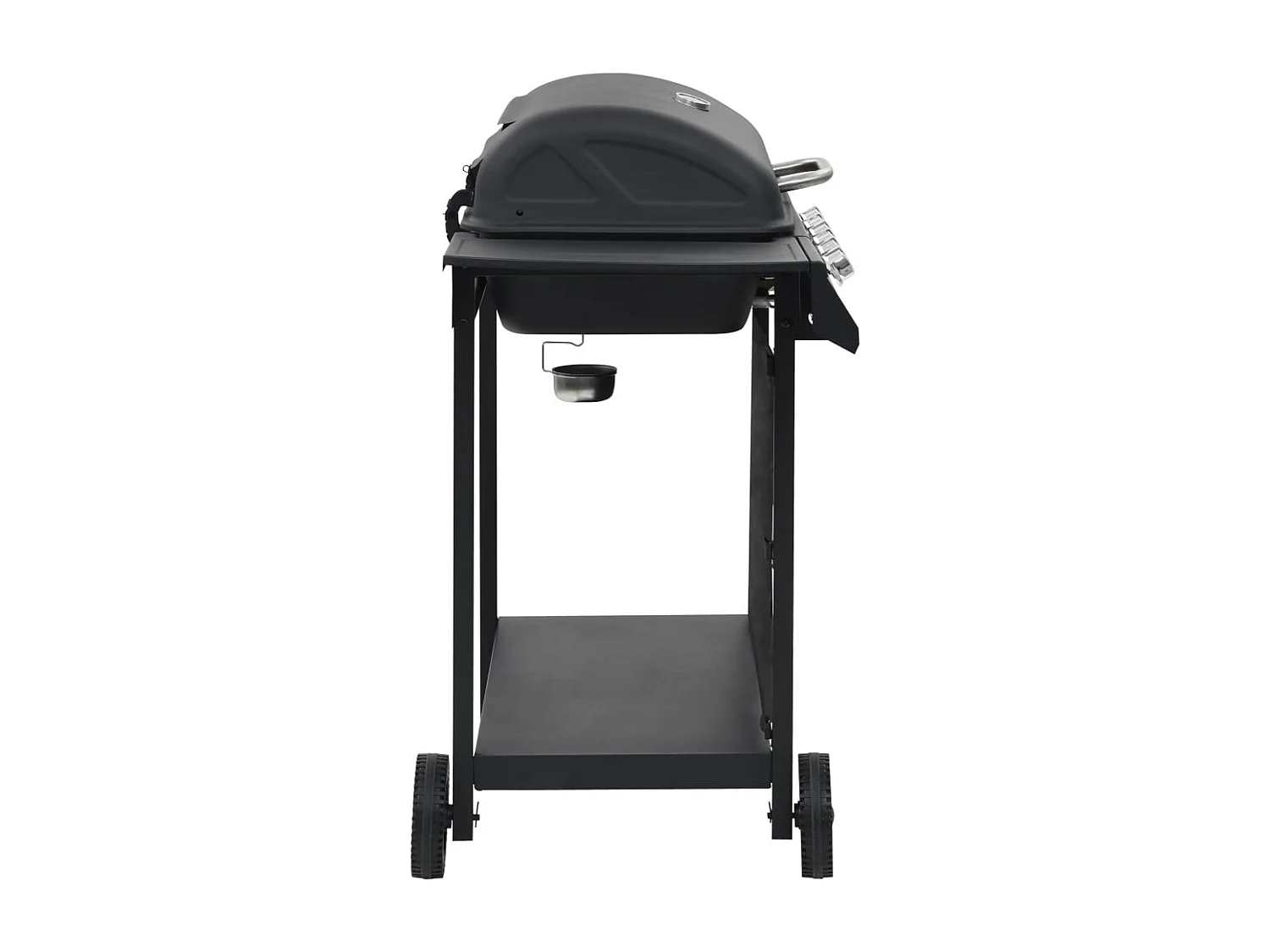 Barbecue au gaz avec 6 zones de cuisson Acier Noir FR719041