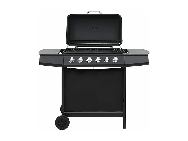 Barbecue au gaz avec 6 zones de cuisson Acier Noir FR719041