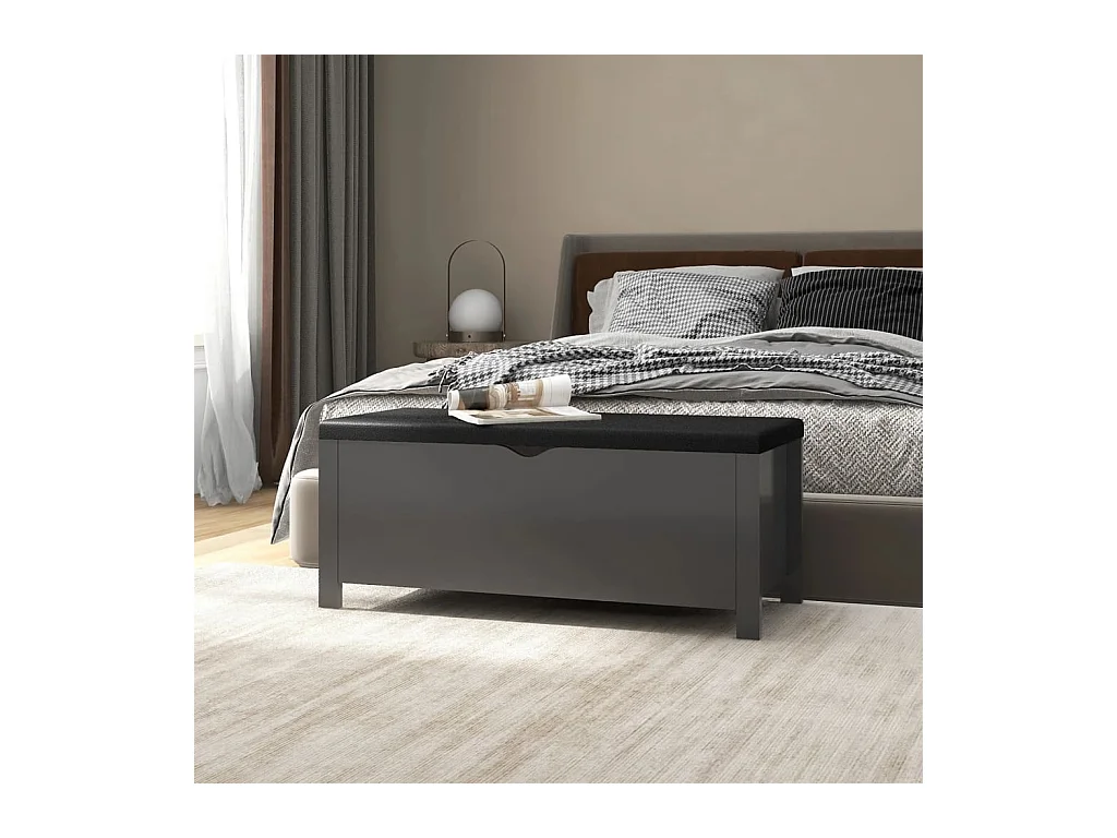 Boîte de rangement et coussin Gris 105x40x45 cm Bois ingénierie FR376536
