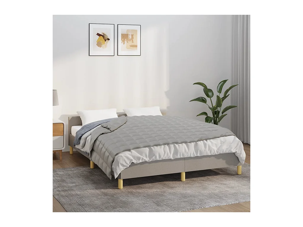 Couverture lestée Gris 135x200 cm 10 kg Tissu FR700603