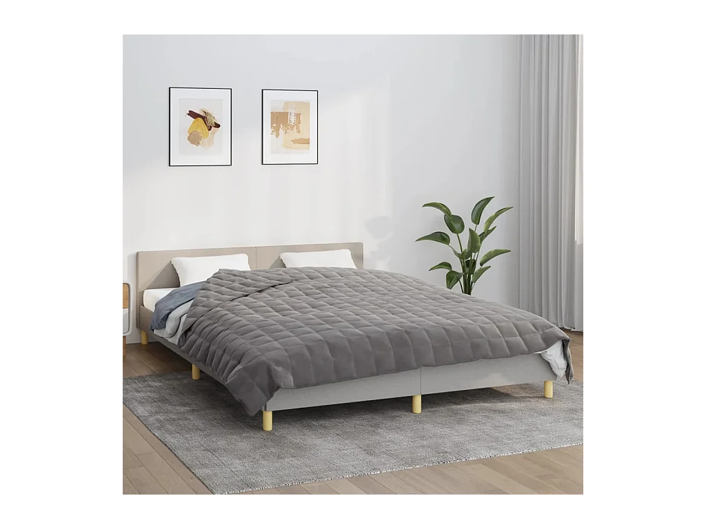 Couverture lestée Gris 220x240 cm 11 kg Tissu FR577756