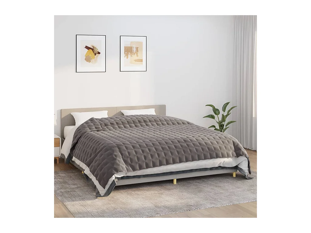 Couverture lestée Gris 220x260 cm 15 kg Tissu FR783965