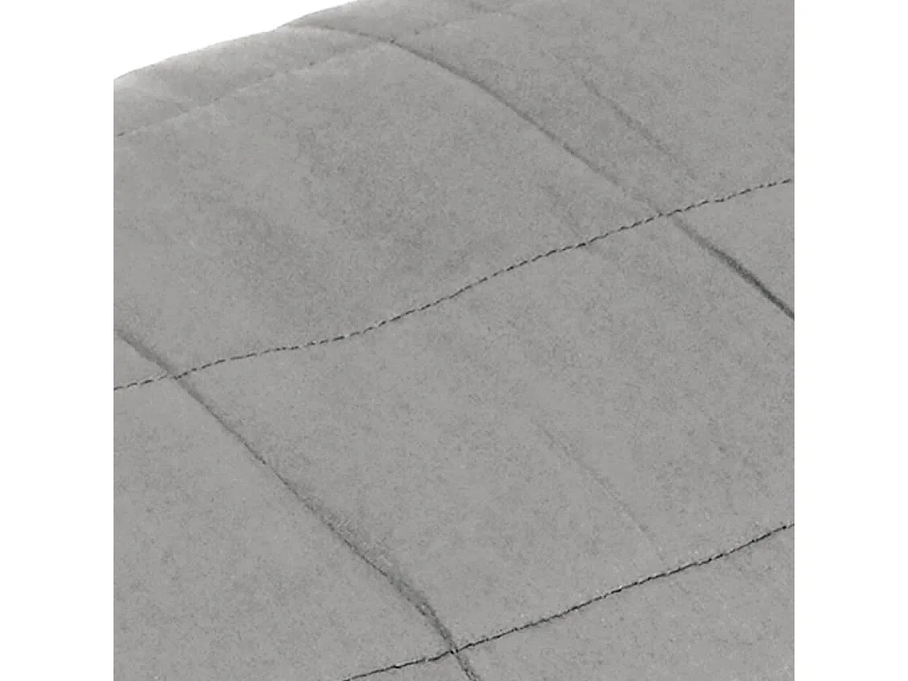 Couverture lestée Gris 140x200 cm 10 kg Tissu FR581789
