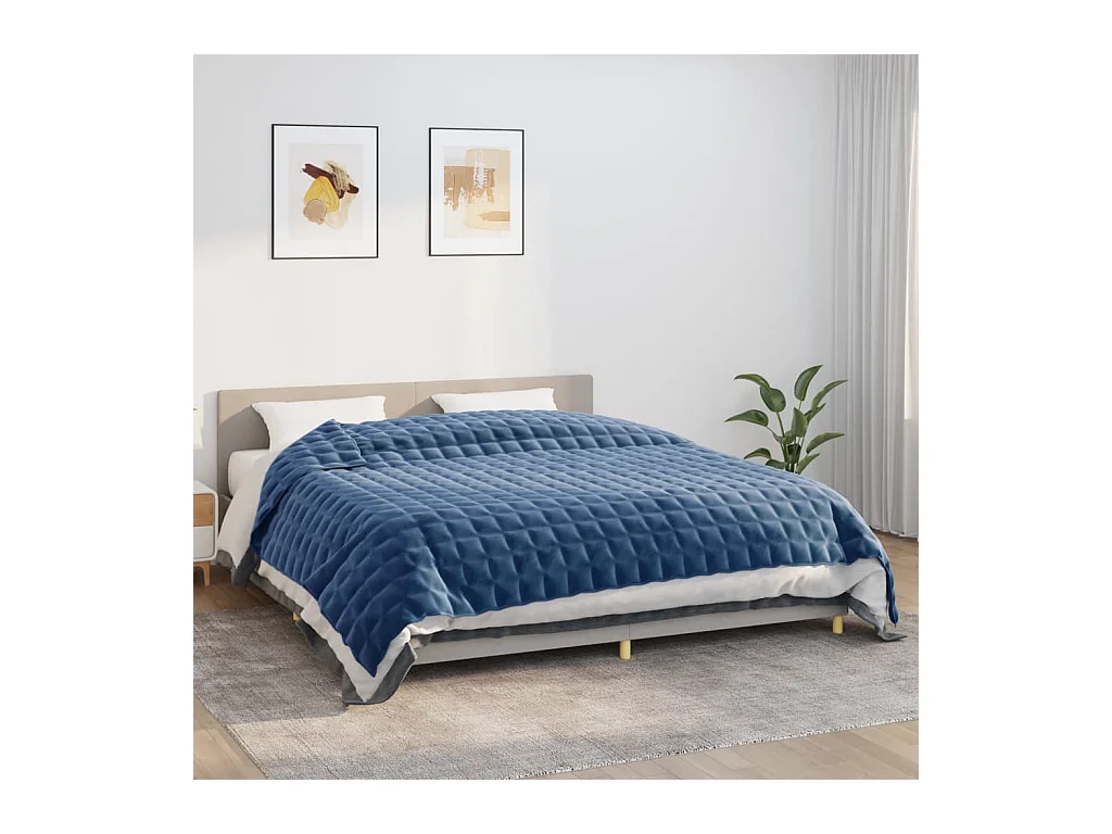 Couverture lestée Bleu 220x260 cm 11 kg Tissu FR167128