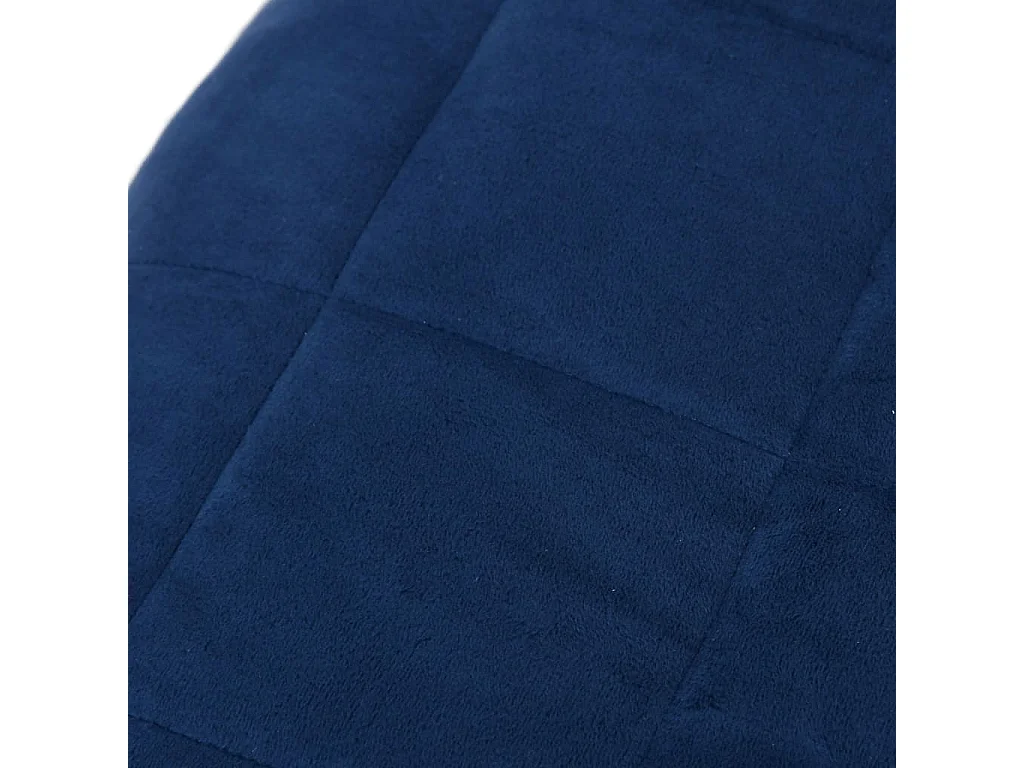 Couverture lestée Bleu 200x230 cm 13 kg Tissu FR584032