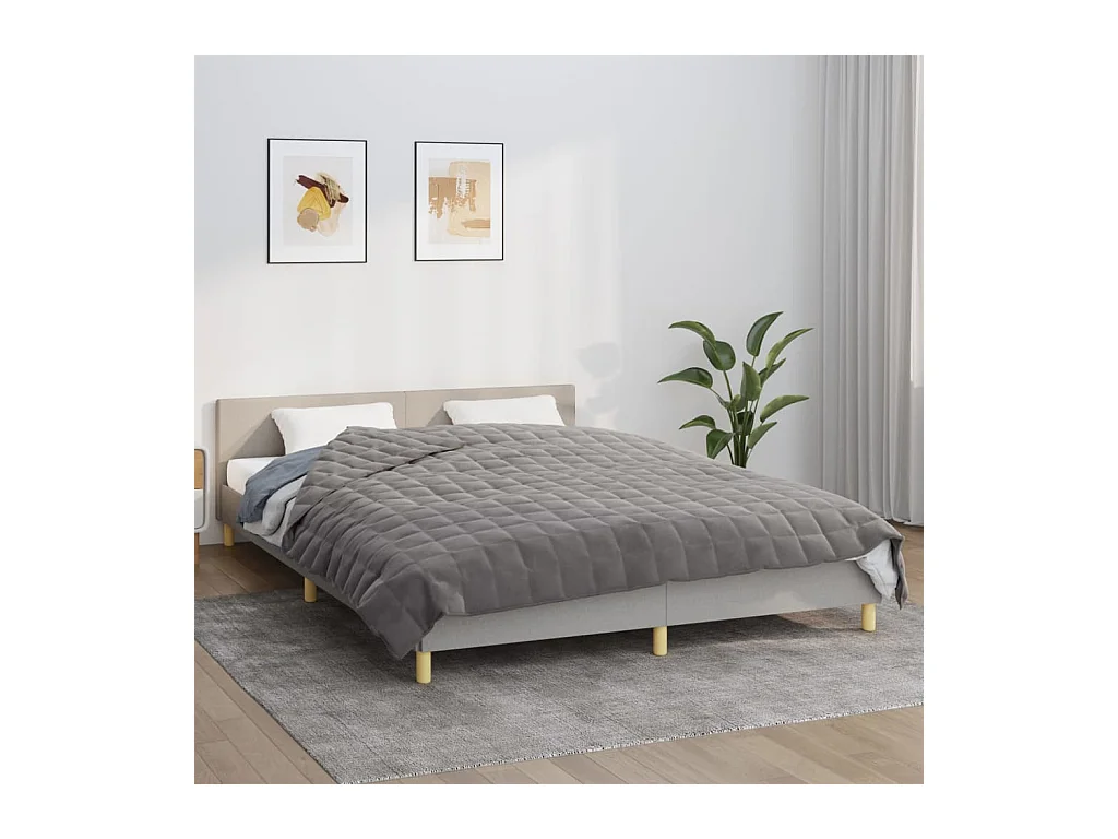 Couverture lestée Gris 200x220 cm 9 kg Tissu FR310664
