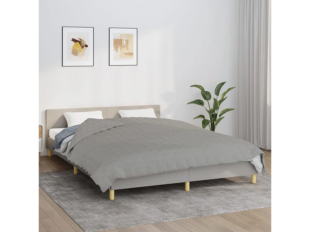 Couverture lestée Gris 220x240 cm 11 kg Tissu FR579543