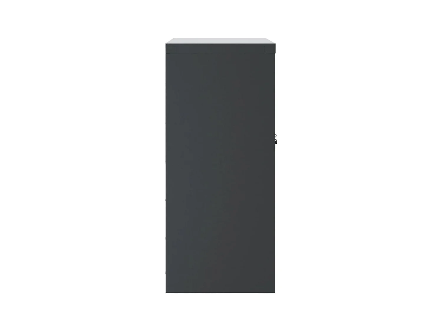 Armoire de bureau - Classeur anthracite 79x40x90 cm acier FR682311