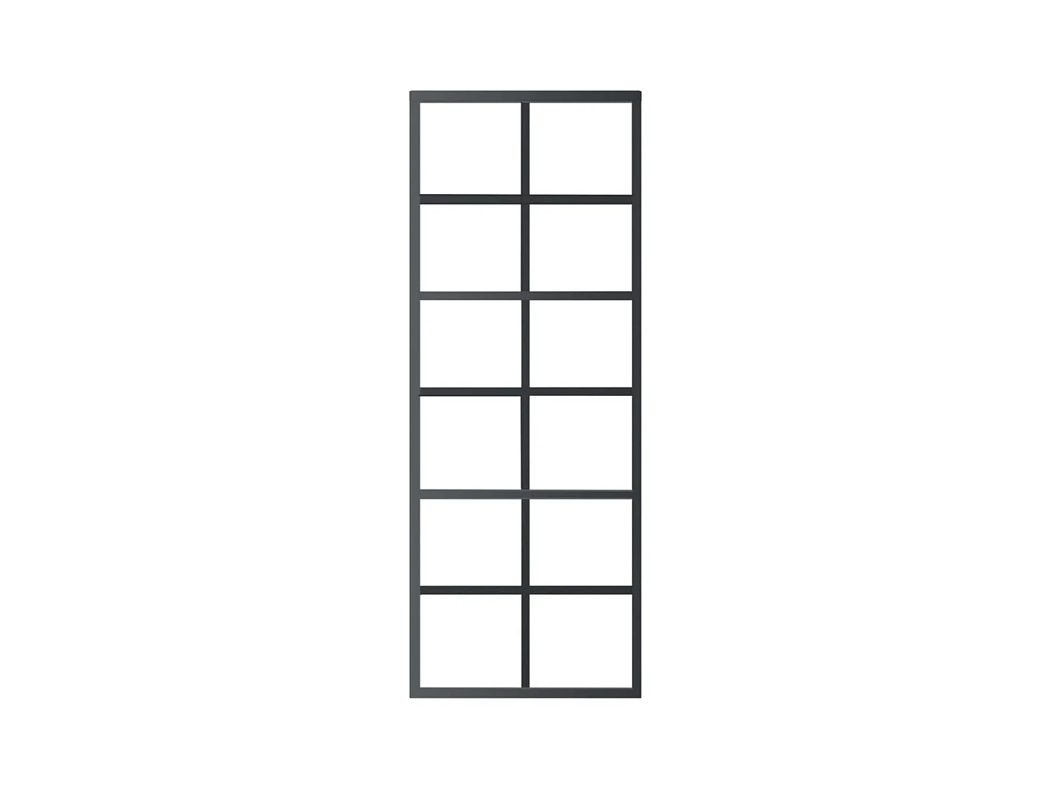 Porte coulissante Verre ESG et aluminium 76x205 cm Noir FR965718