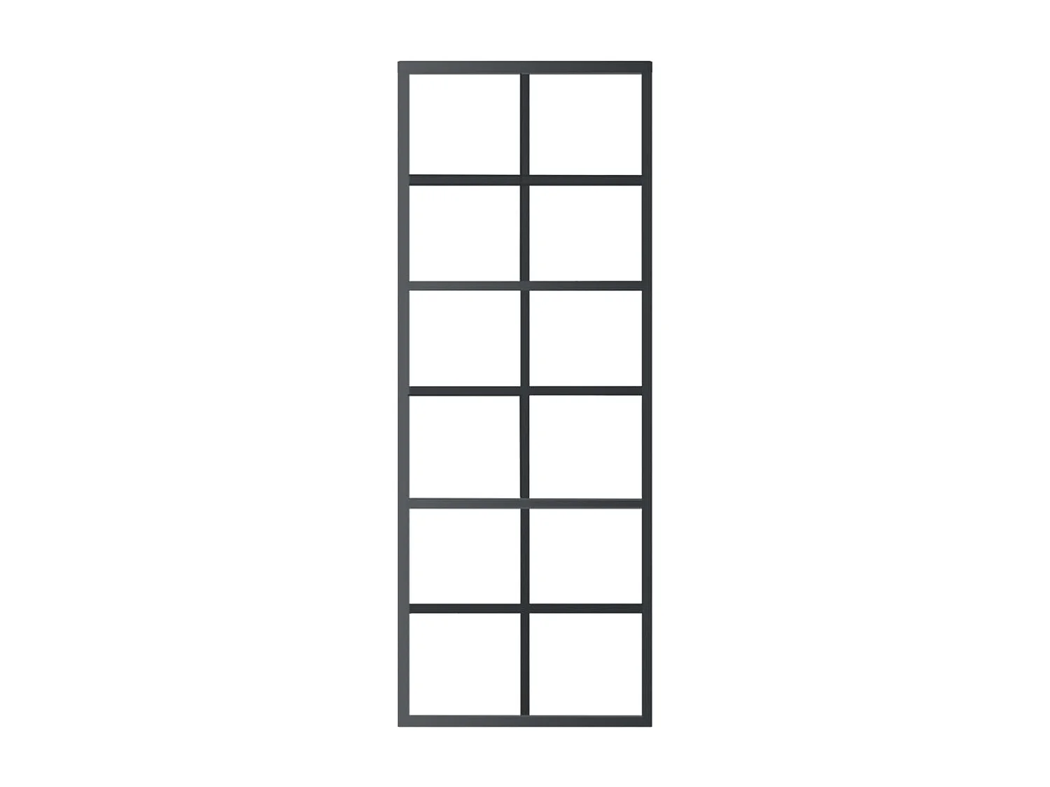 Porte coulissante Verre ESG et aluminium 76x205 cm Noir FR965718