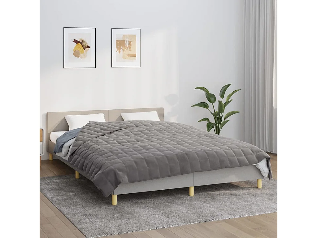 Couverture lestée Gris 200x225 cm 9 kg Tissu FR753408