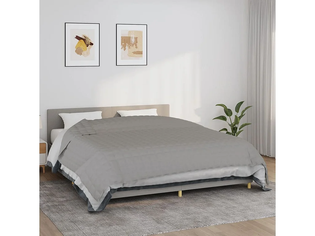 Couverture lestée Gris 220x260 cm 11 kg Tissu FR669124