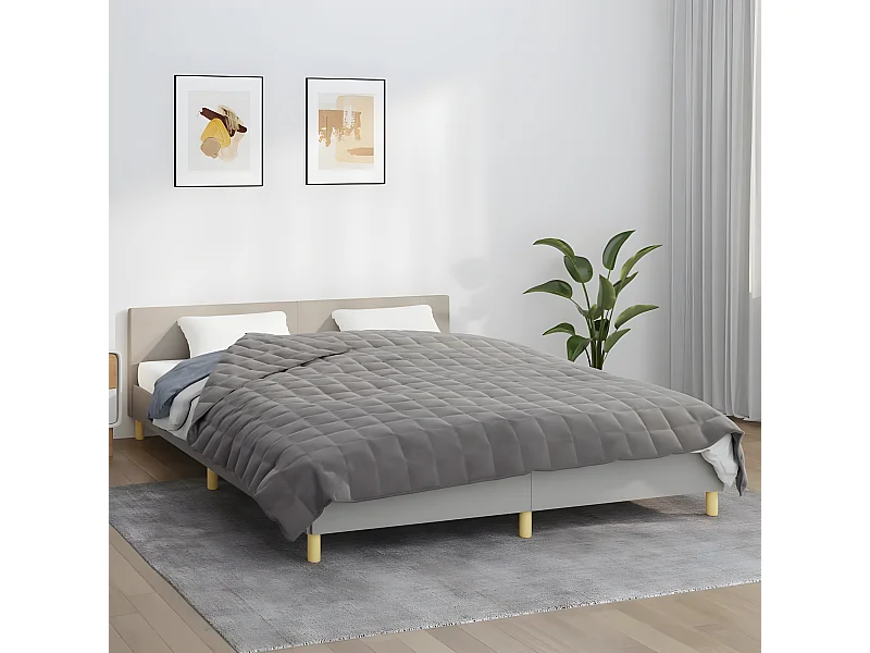 Couverture lestée Gris 200x200 cm 9 kg Tissu FR801159