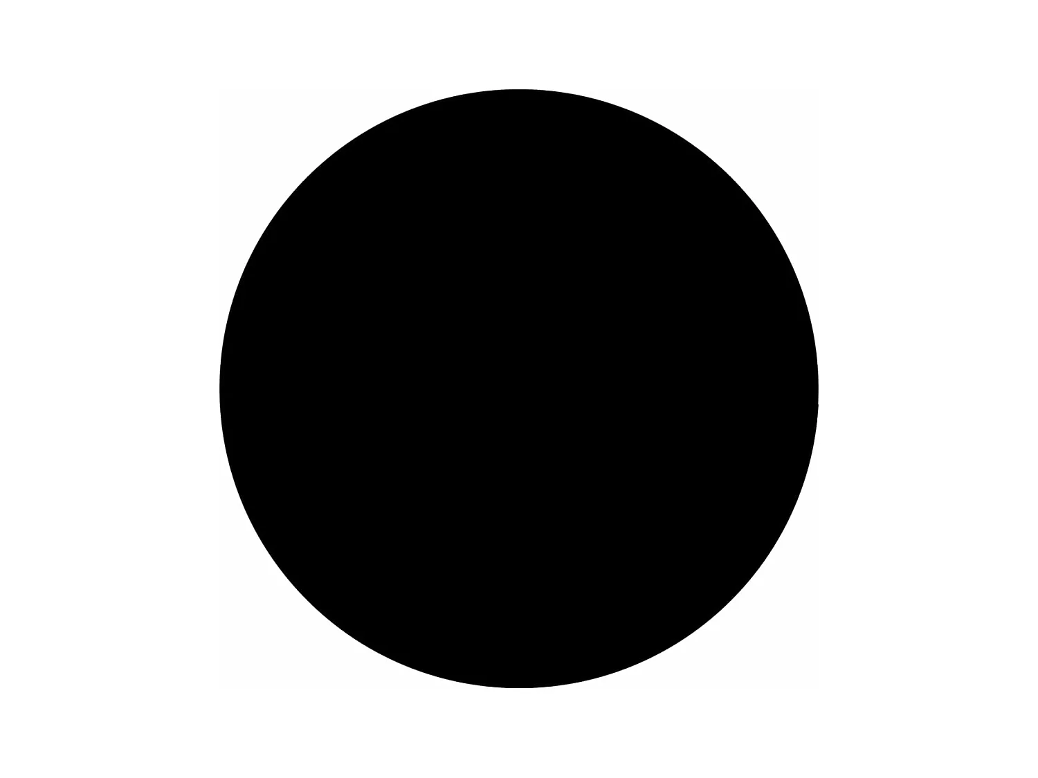 Couverture de piscine Noir 300 cm PE FR873139