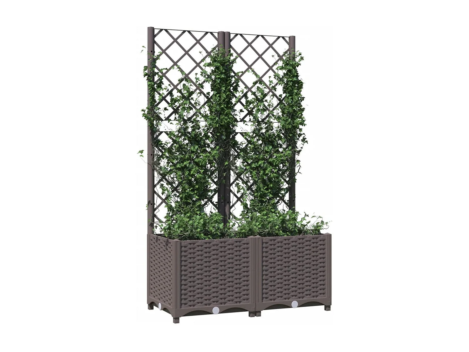 Jardinière avec treillis Marron 80x40x136 cm PP FR60661