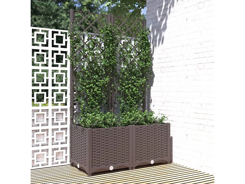 Jardinière avec treillis Marron 80x40x136 cm PP FR60661