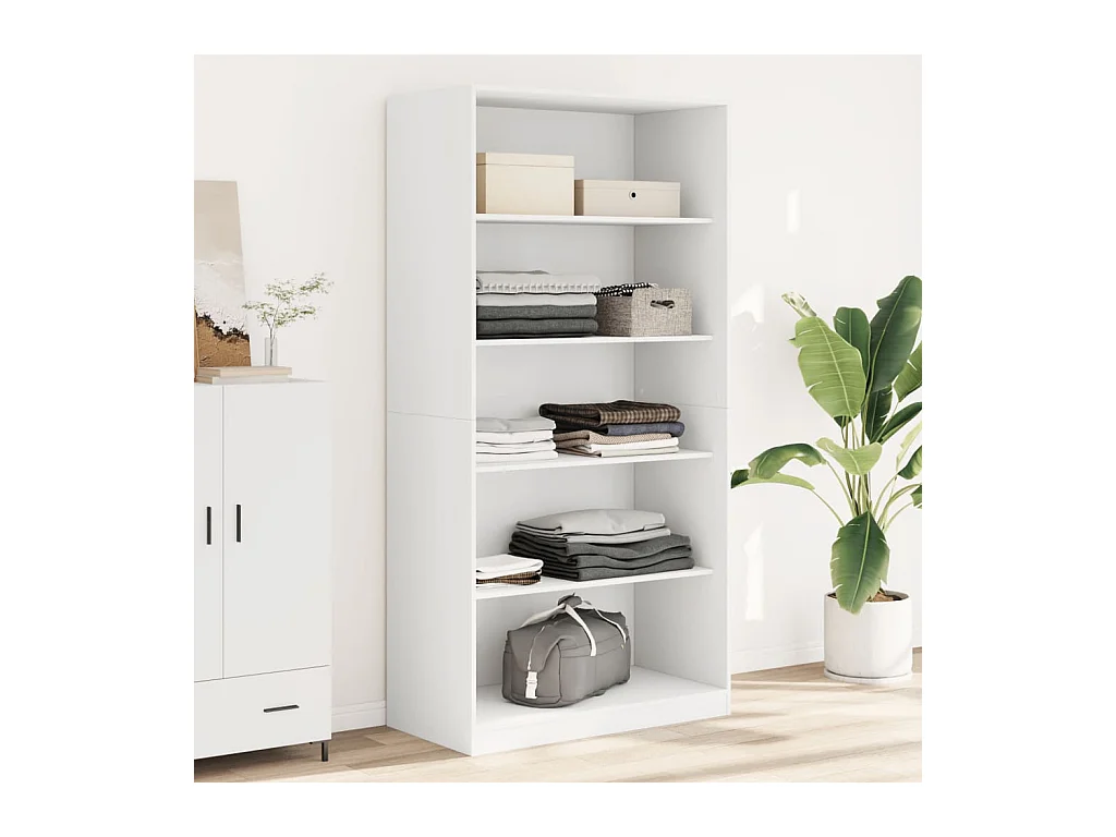 Garde-robe Blanc 100x50x200 cm Bois d'ingénierie FR423723