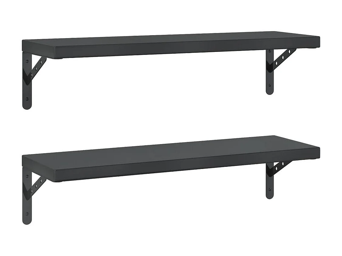 Wandschappen 2 st 75x23,5 cm roestvrijstaal zwart BE746204