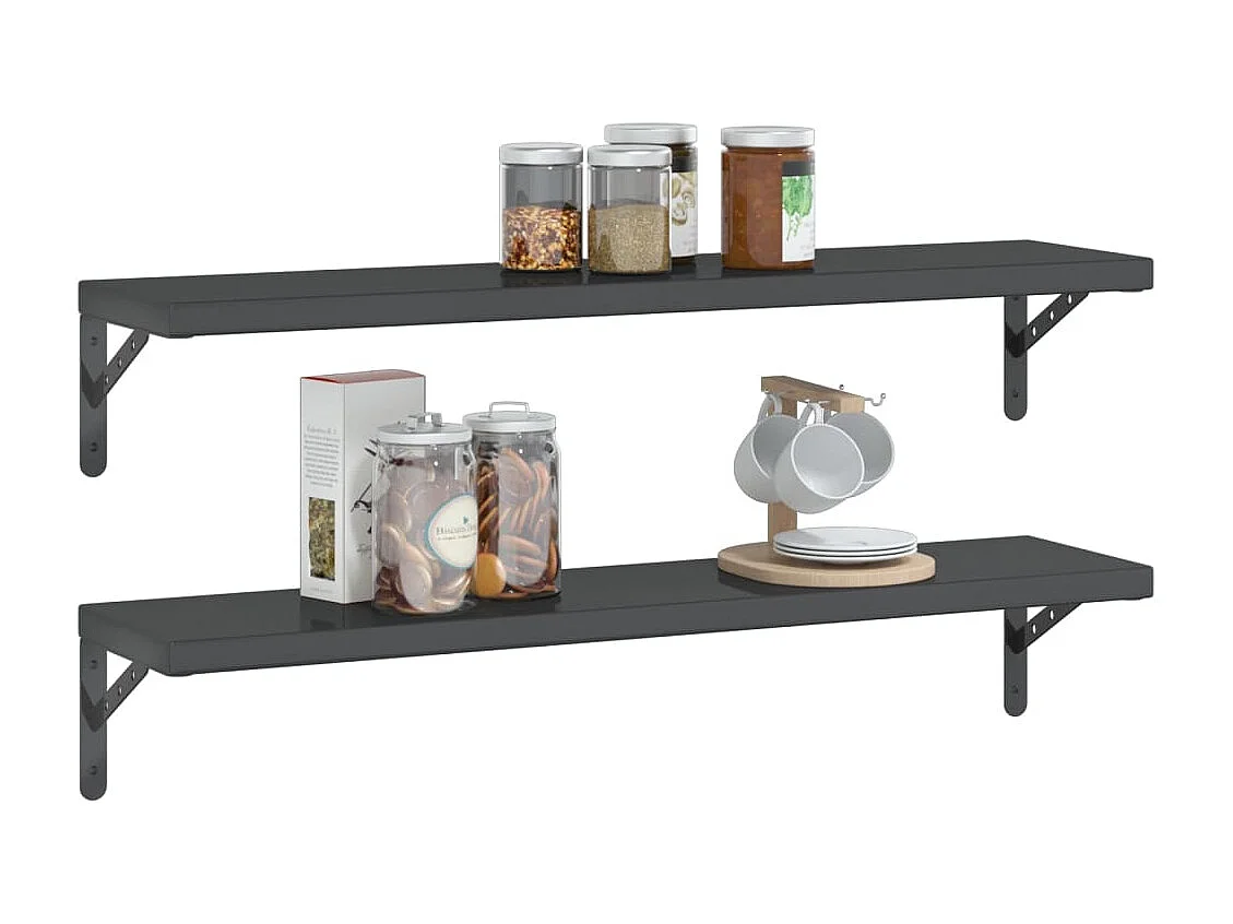 Wandschappen 2 st 100x23,5 cm roestvrijstaal zwart BE460937