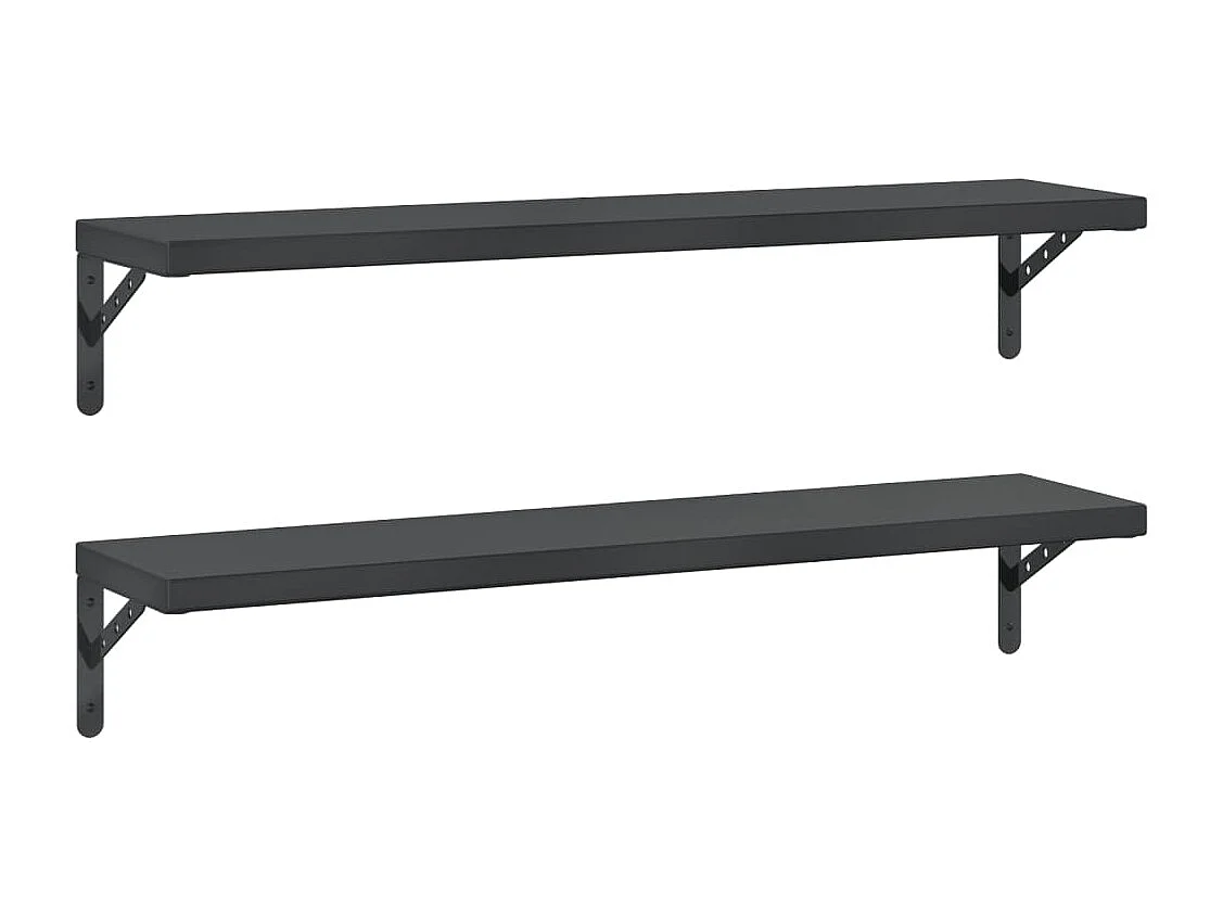 Wandschappen 2 st 100x23,5 cm roestvrijstaal zwart BE460937