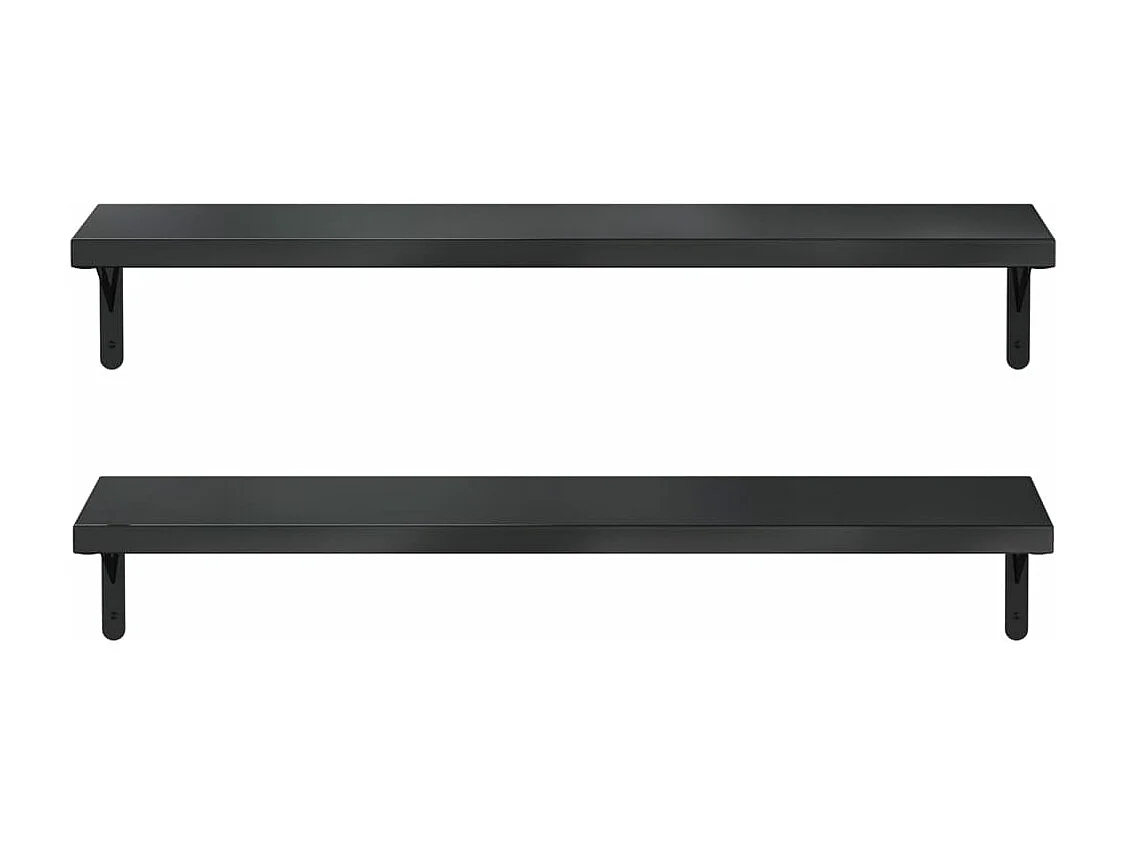 Wandschappen 2 st 100x23,5 cm roestvrijstaal zwart BE460937
