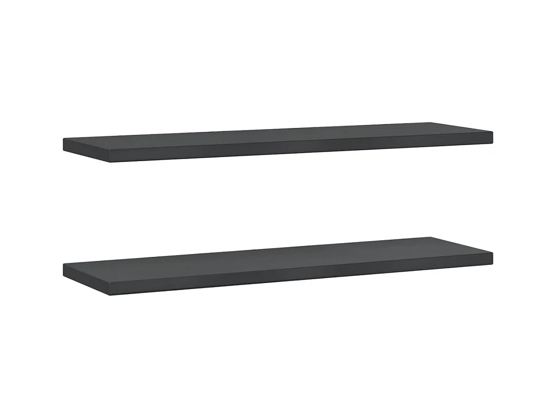 Wandschappen 2 st 100x30x3 cm roestvrijstaal zwart BE275781