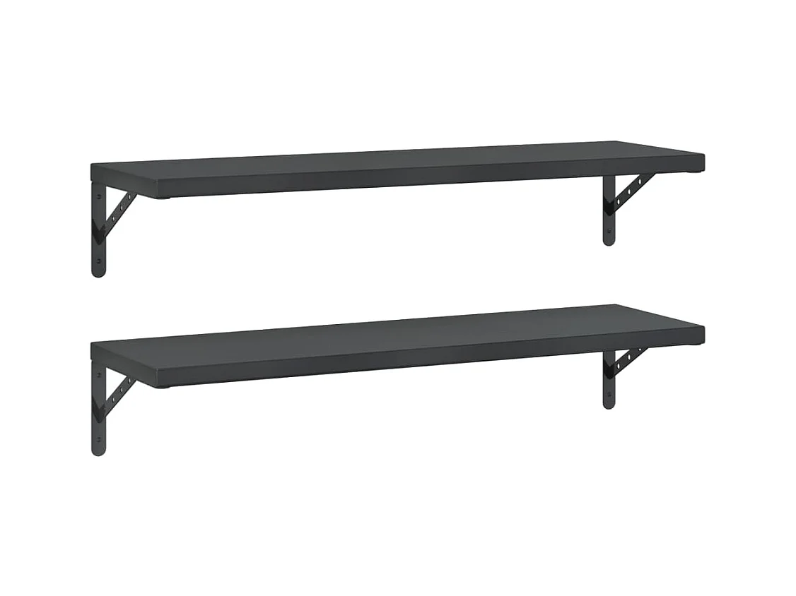 Wandschappen 2 st 100x30 cm roestvrijstaal zwart BE854630