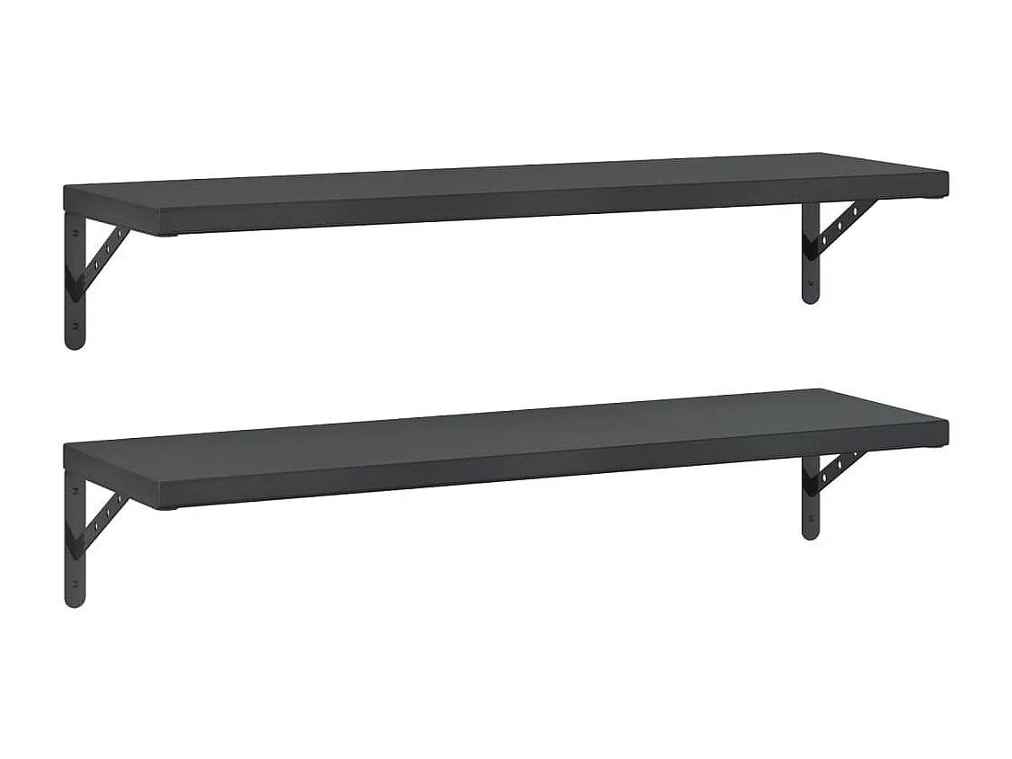 Wandschappen 2 st 100x30 cm roestvrijstaal zwart BE854630
