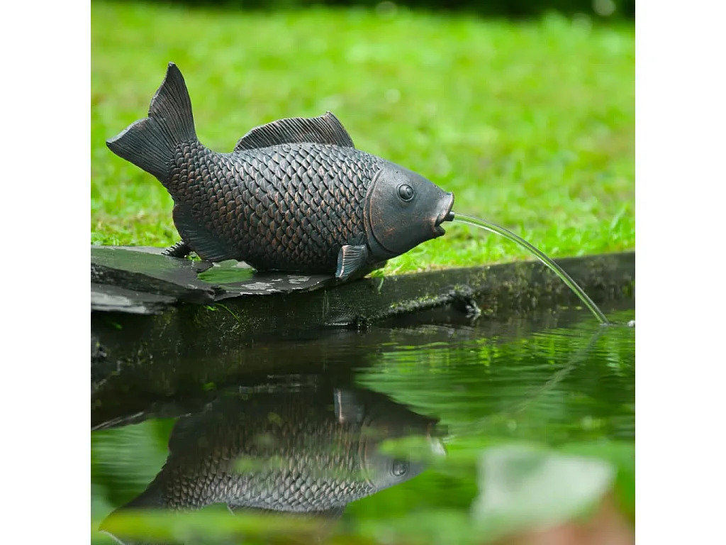 Tuinfontein vis BE529642