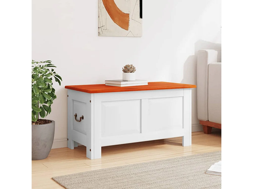 Coffre de rangement et couvercle marron et blanc bois d'acacia FR661711