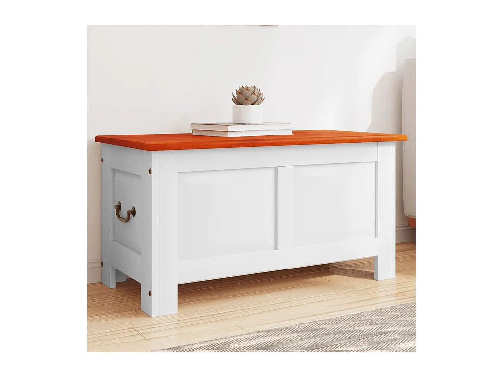 Coffre de rangement et couvercle marron et blanc bois d'acacia FR661711