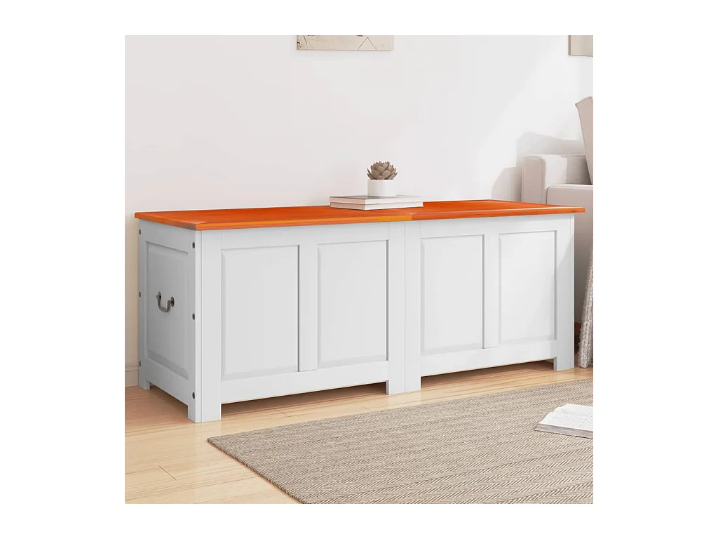 Coffre de rangement et couvercle marron et blanc bois d'acacia FR546882