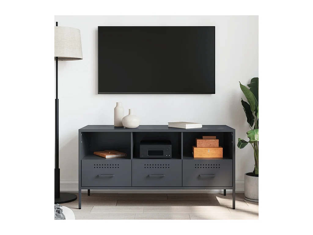 Meuble TV anthracite 100,5x39x50,5 cm acier laminé à froid FR891990