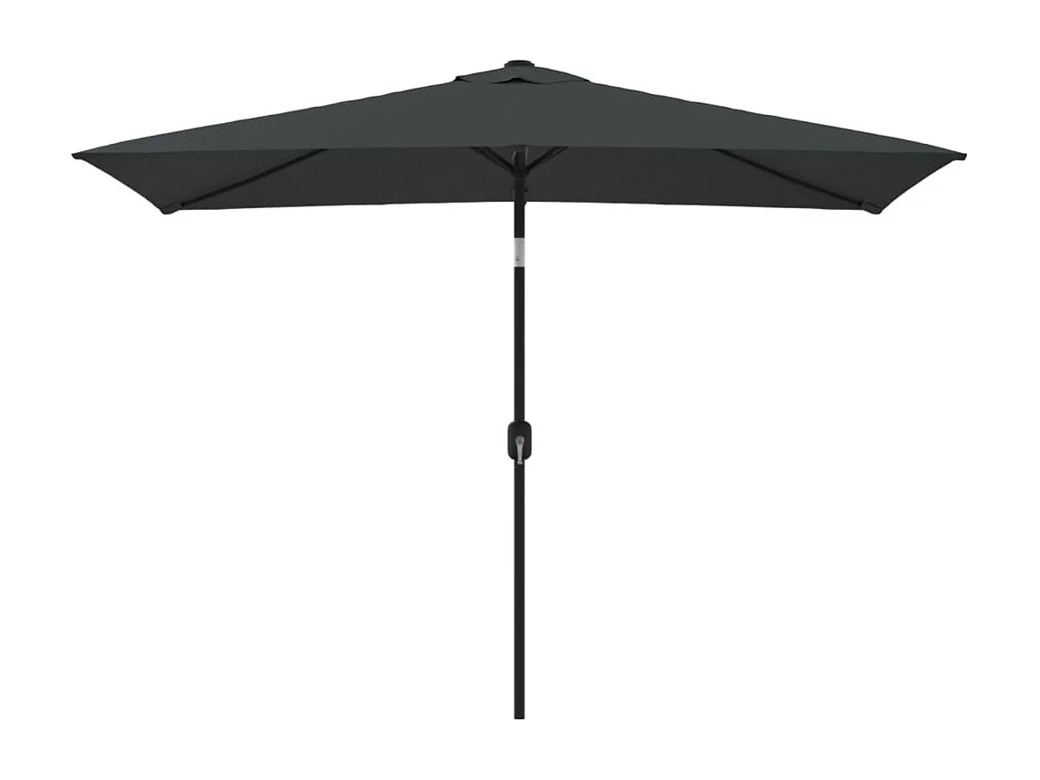 Parasol avec mât en métal 300 x 200 cm Anthracite FR43143