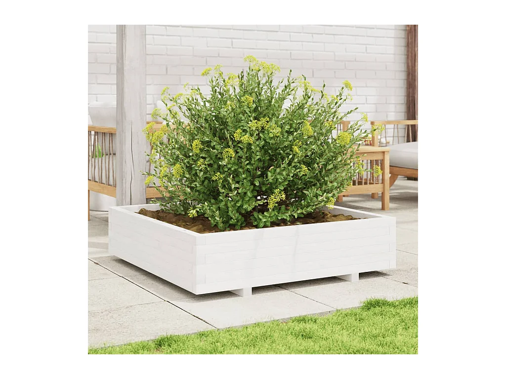 Jardinière blanc 100x100x26,5 cm bois de pin massif FR69438