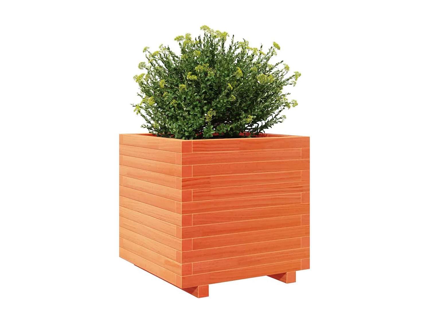 Jardinière cire marron 50x50x49,5 cm bois de pin massif FR92771