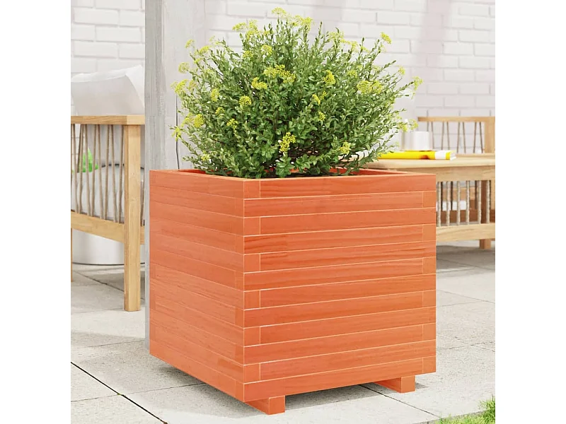 Jardinière cire marron 50x50x49,5 cm bois de pin massif FR92771