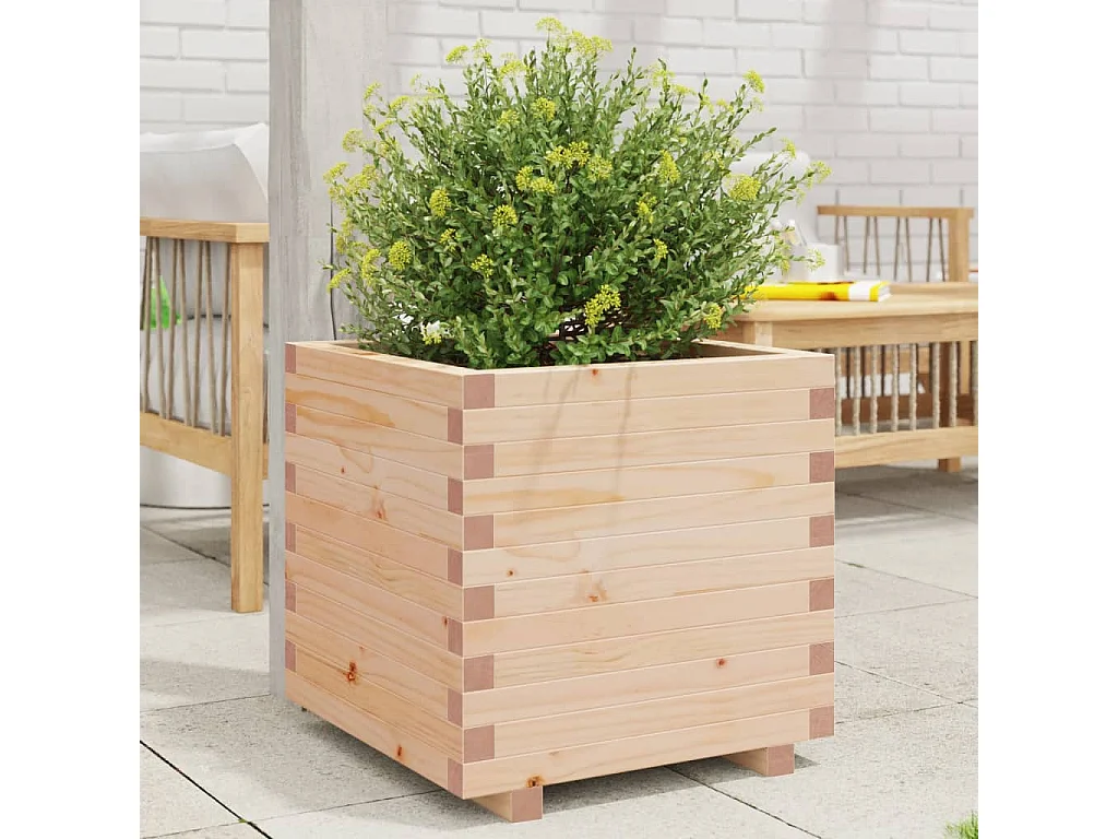 Jardinière 50x50x49,5 cm bois de pin massif FR62863